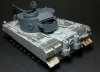 ltiger001.jpg
