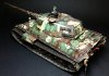 tiger2a.jpg