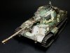tiger2c.jpg
