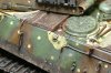 tiger2i.jpg