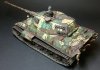 tiger2k.jpg