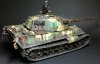 tiger2p.jpg