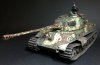 tiger2n.jpg