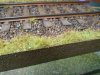 P204-40.JPG