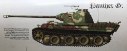 Panther G MAN disc camo.jpg
