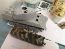 135_tiger2.jpg