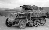 Sd.Kfz.250_8.jpg