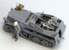 modsdkfz250403.jpg