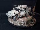 Husky TSV.1.jpg