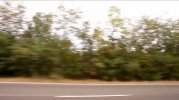 moving-roadside.jpg