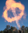 rookspoor2.gif rookspoor2.gif