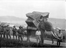 COLLECTIE_TROPENMUSEUM_Transport_van_olifanten_voor_militair_vervoer_tussen_Tangsé_en_Geumpang...jpg