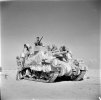 1st armored division 1942.jpg 1st armored division 1942.jpg