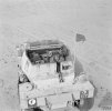 DaimlerDingo1.jpg