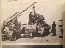 Flak, SdKfz 231.jpg