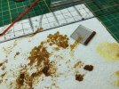 IMG_4850.jpeg