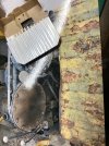 IMG_4548.jpeg