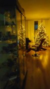 IMG-20231212-WA0000.jpeg