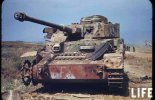 Battle For Lanuvio -3.jpg