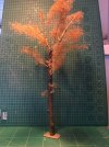 IMG_1378.jpeg