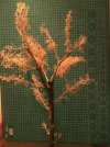 IMG_1382.jpeg