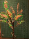 IMG_1382a.jpeg