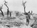 war-tree2.jpg