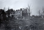 war-tree5.jpg