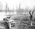 war-tree6.jpg
