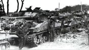 coldstream-guards-tulip-tank-firefly.jpg