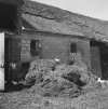 mestvaalt-boerderij-.jpg