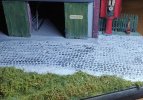 IMG_20240704_215251.jpg