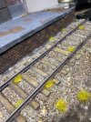 IMG_4316.jpeg