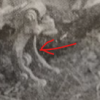 1601925619049.png