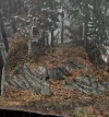 Photoroom-20241204_211839.webp Photoroom-20241204_211839.webp