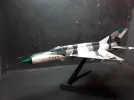 MIG 21 1.webp