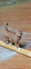 20250128_132509.webp