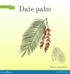 Palm 06.webp
