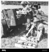 a-field-regiment-of-the-royal-artillery-ammunition-in-trays-being-placed-in-limber-british-ar...webp