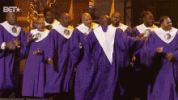 IMG_8213.gif