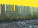 Palissade-3.webp