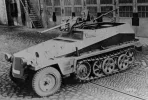 sd.kfz 250-11.webp sd.kfz 250-11.webp