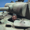 Les-figs-2.gif