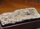 IMG_20201121_224100948.jpg