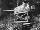 IMG_4858.JPG
