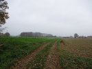 Broekh16.jpg