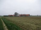 Broekh15.jpg