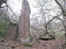 Broekh9.jpg