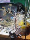 20201227_152701.jpg