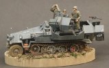 modsskfz251171001b.jpg